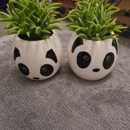 Panda faux plant pots x2.

Brand new, unused, labels on.

Collect from NG4 area or weekdays from NG1 Notts city centre. Can post for additional £3
