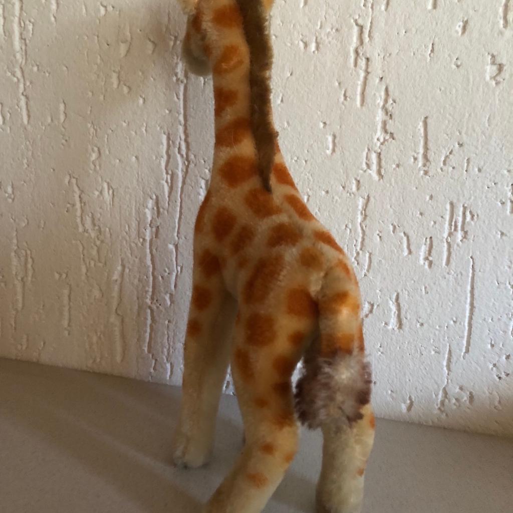 STEIFF Giraffe
Mohair
30cm
ohne K/F/S
sehr guter Zustand
Selbstabholer
Versand bei Kostenübernahme möglich