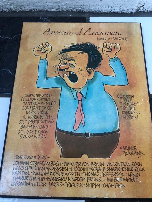 Buy & Sell West Midlands Birmingham - Photos for 🌸ARIES MAN. WALL PLAQUE 🌸