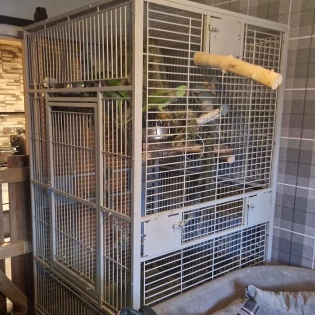 7ft tall x 1 metre square cage in DY4 Sandwell für £ 230,00 zum Verkauf ...