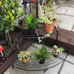Fabulous, 3 Tier plant pot holder 30” inch high 33” width great for any corner or small gardens to add extra high collection only DY5 area