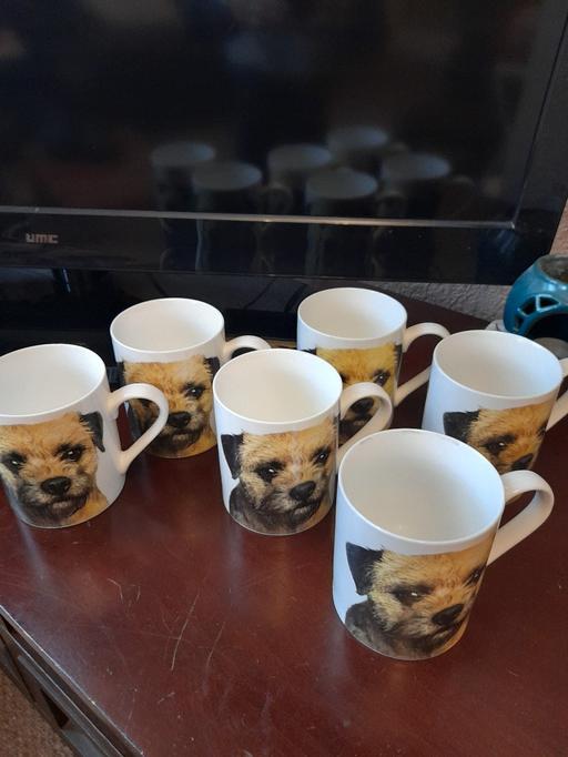 Buy & Sell Lancashire Blackpool - Photos for Set of 6 Border terrier mugs