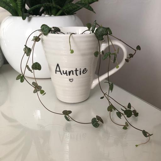 Buy & Sell Gloucestershire South Gloucestershire - Photos for Auntie mug planter string of hearts plant