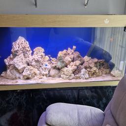 Hi i have a 5ft×3ft×2ft fish tank and stand, 3 door stand no water damage comes with a strip light £300 tank & stand only. Will consider for smaller marine setups/smaller tank and cash. Collection walsall
