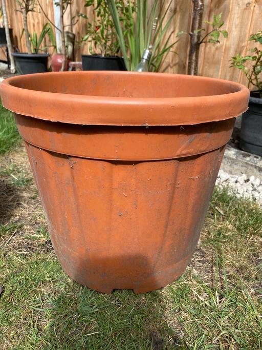 Buy & Sell East London Stratford - East London - Photos for Heavy duty container pot 25L