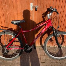 Saracen raw discount dx mountain bike