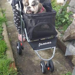 For sale a Dogs/pet buggy. only used once. easy folding