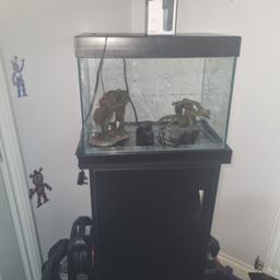 brandnew fish tank with lights on the lid with new accessories and filter and black cupboard to sit it on also digital temperature tester my son wanted a fish set up but now changed his mind