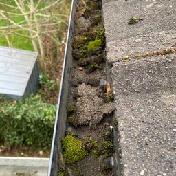 Free quotes gutter cleaning prices start from £25