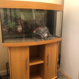 Juwel 180 bow front fish tank complete with stand filter heater gravel all working lights few light scratches on glass from cleaning magnet
All water tight only selling as upgraded to bigger tank

Collection dy2