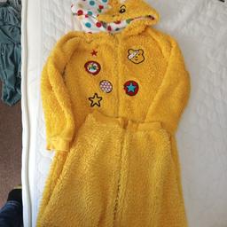 Pudsey with cape

age 8-9
