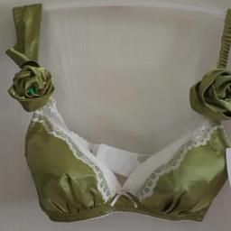 Girl's/women's Bra non- magnetic and steel-rimless Non wired paded bra Beautiful, Fashion, Trending, satin silk shiny 
Lace, Deep V, sexy look bra , Adjustable, parrot green colour