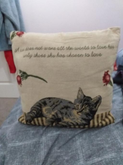 Buy & Sell Nottinghamshire Mansfield - Photos for X2 CAT CUSHIONS IN EXCELLENT CON