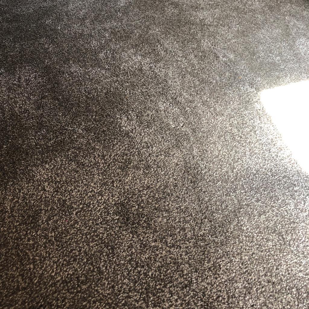 We had all our carpets down Christmas 21, just over a year old so excellent condition!
Paid over £2500 from carpet right (see attached)
Are now renovating our house so every room will be coming up 🙈
Please see sizes & chats below.

Living room 360x560
Hall 110x390 + 100x100 *SOLD
Dining 350x360
Landing 490x90 * SOLD
plus 13 steps
Bed 1 370x370
Bed 2 330x350
Bed 3 300x340