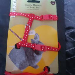large rabbit harness paid 5.99 brand new to small for my rabbit