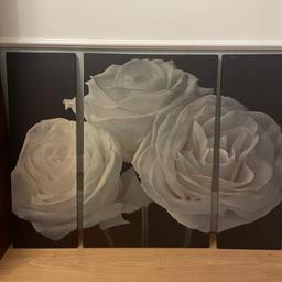 Beautiful white rose 3pce canvas picture frames. Very good condition. Large centre frame is 60cms wide and 90cms in length. Two small side frames are 30cms wide and also 90cms in length.
Offers acceptable
