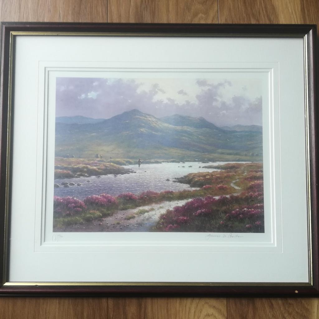 Beautiful framed Limited edition Fishing Scene Painting by renowned artist James D Preston. Height 53 cm, Width 45 cm. Hand signed by the artist. Local pick up preferred please from Old Tupton area near Chesterfield. Thanks