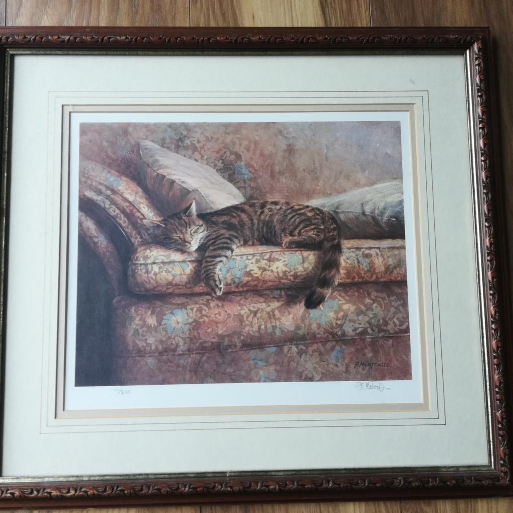 Gorgeous framed limited edition painting by renowned artist Paul Monteagle. Width 53 cm, Height 48 cm. Entitled "Lazybones", this piece is hand signed by the artist and beautifully framed. Local pick up preferred please from Old Tupton area near Chesterfield. Thanks.