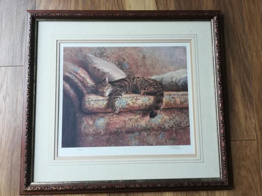 Buy & Sell Derbyshire North East Derbyshire - Photos for Framed limited edition cat painting