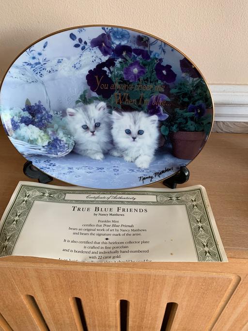 Buy & Sell Essex Thurrock - Essex - Photos for Plate True Blue Friends Cats