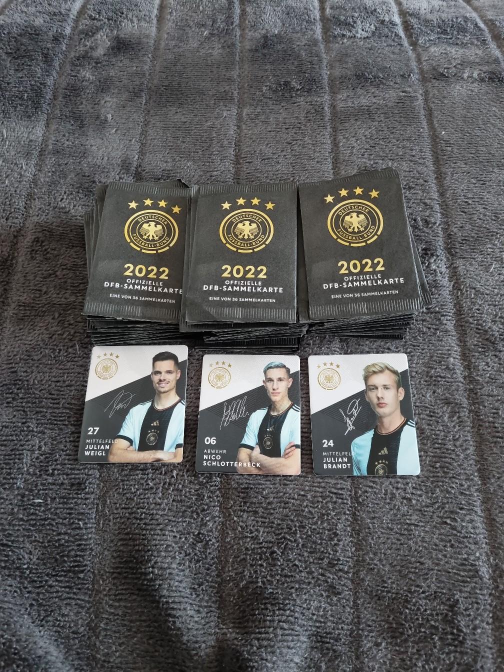 Friki Monkey Kartenalbum Für 60 Sammelkarten - PP-Taschen Ohne PVC & Gummiband