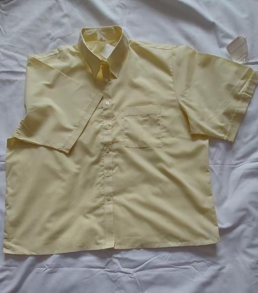 Buy & Sell Buckinghamshire Penn - Buckinghamshire - Photos for New Shirt blouse lemon yellow size 22