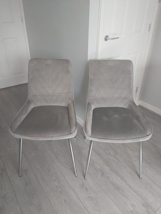 Buy & Sell Essex Southend-on-Sea - Photos for Next Dining chair x2