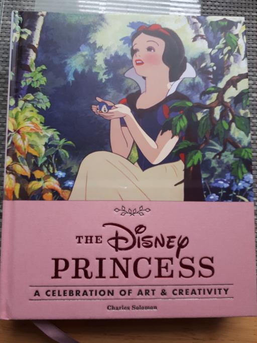 Buy & Sell Lancashire Blackburn with Darwen - Photos for the Disney princess book