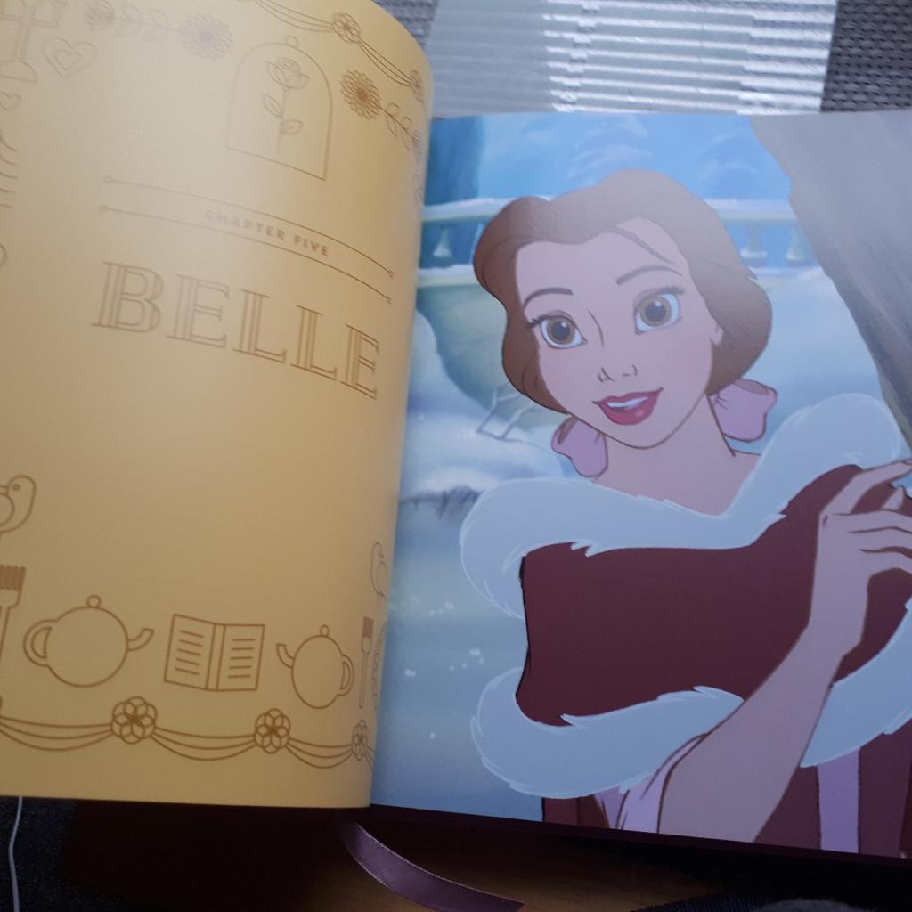 the Disney princess book in really good condition just a little mark on the front as seen on picture 5