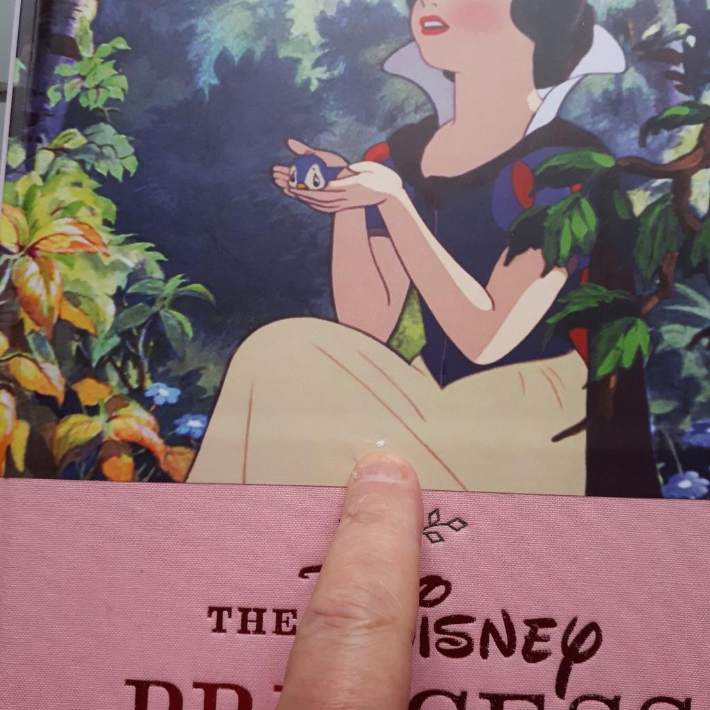 the Disney princess book in really good condition just a little mark on the front as seen on picture 5