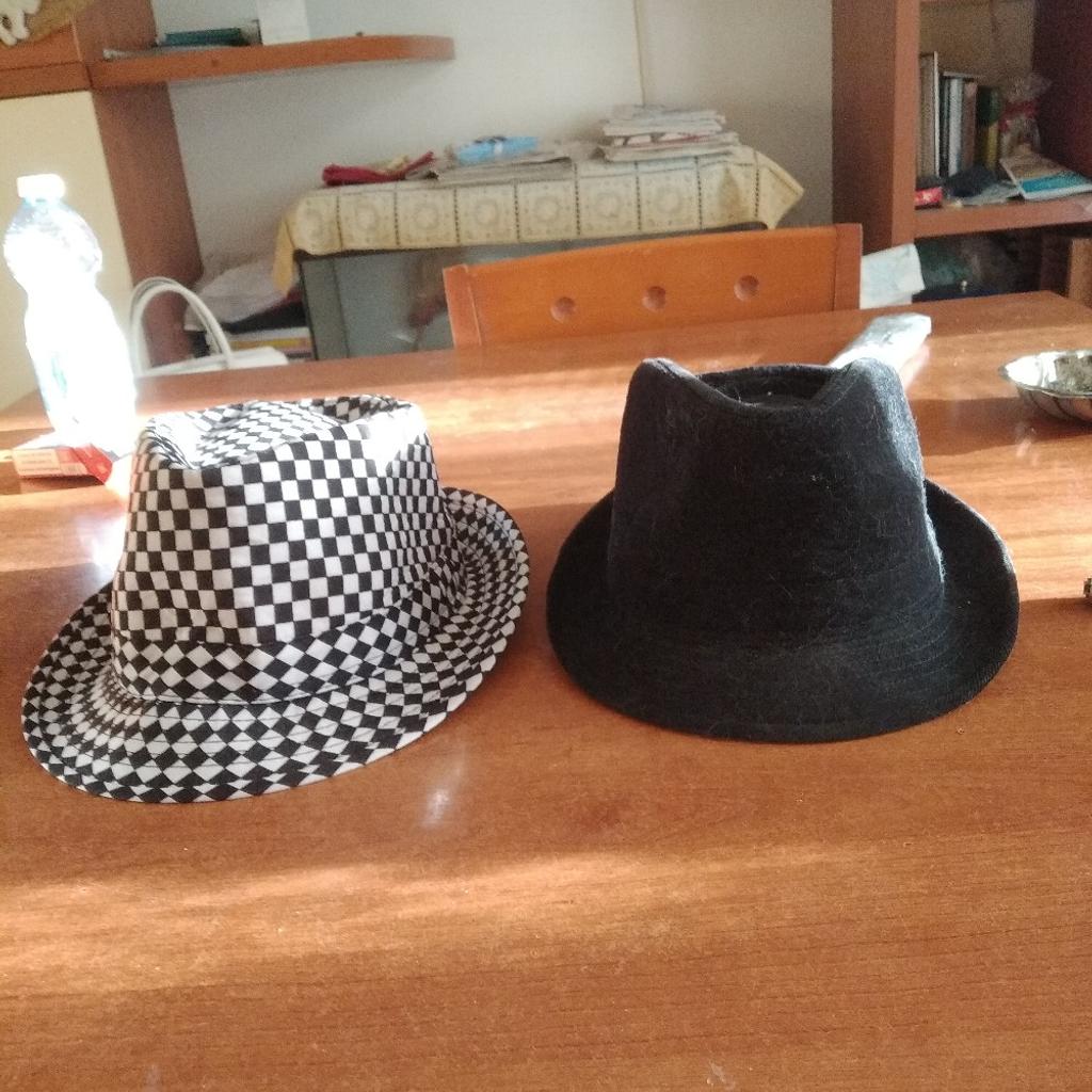 vendo due cappelli Fedora a euro 15,00 l uno se interessati in pvt Barbara consegna in piazza angilberto Milano