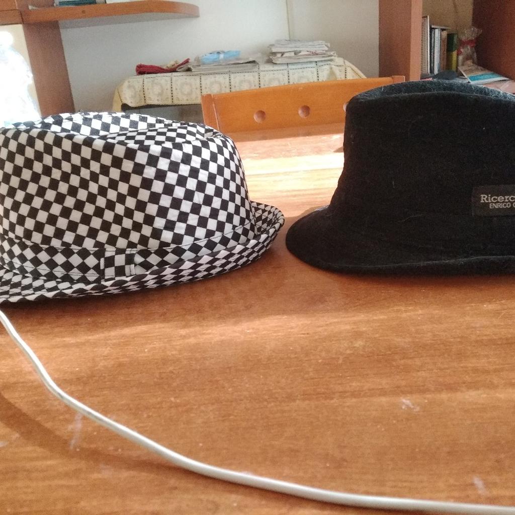 vendo due cappelli Fedora a euro 15,00 l uno se interessati in pvt Barbara consegna in piazza angilberto Milano