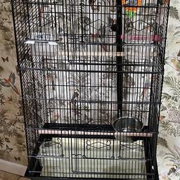 Three foot cage / 36 inches
17 inches wide
13 inches deep.
Also includes a mini travel cage.

Size can be altered to eighteen inches for smaller birds.
Includes adjustable floor stand and accessories.
Collection only.
South elmsall
West Yorkshire
WF9
Cost approx £150
Grab a £20 bargain!

No birds included sorry!