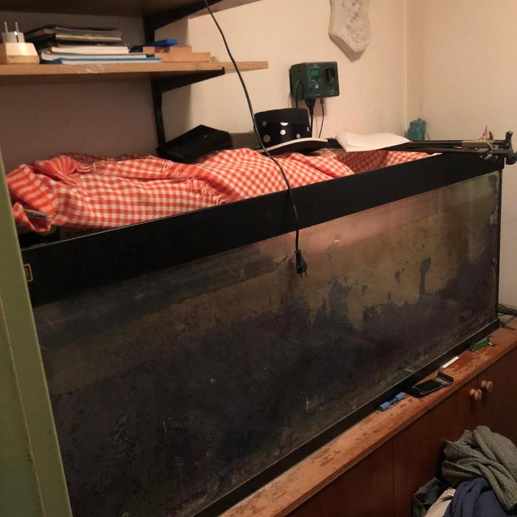 Aquarium in 9020 Klagenfurt für gratis zum Verkauf Shpock DE
