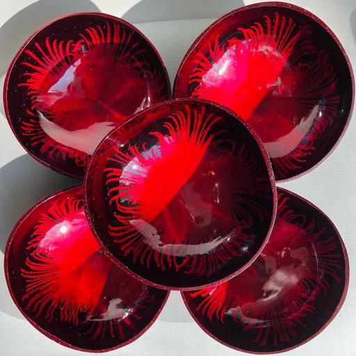 Buy & Sell Gloucestershire Gloucester - Photos for Natural Red Flower coconut shell bowls Gift