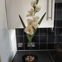 A Lovely Ceramic Vase with White Artificial Flowers. Has White sand and pebbles/stones in vase.

Excellent Condition.

Gloss Black

(H) 15cm (D) 18cm.
Vase with Flowers 80cm (H)

CASH & COLLECTION ONLY.

Have other similar items for sale. Please enquire.