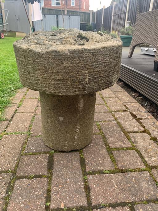 Buy & Sell South Yorkshire Rotherham - Photos for Stone mushroom