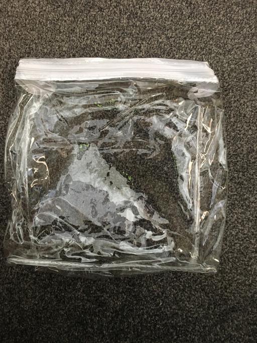 Buy & Sell West Midlands Dudley - Photos for Clear toiletry/makeup bag