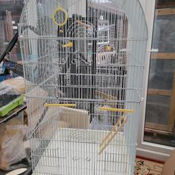 Cage with lots of life in it 10 pounds no offers