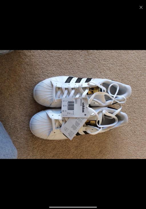 Buy & Sell County Durham Thornley - County Durham - Photos for Adidas superstar originals trainers