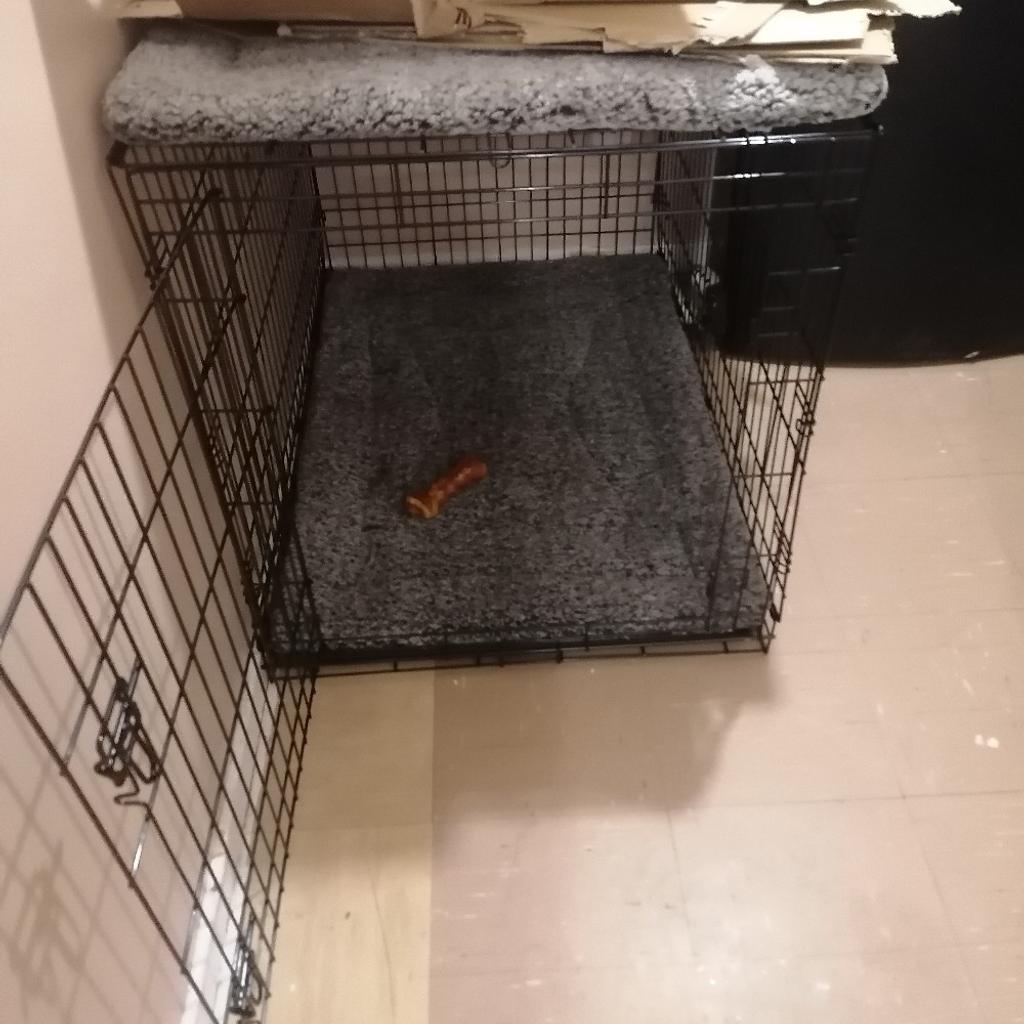 large dog crate in BR5 London für 25,00 £ zum Verkauf Shpock DE