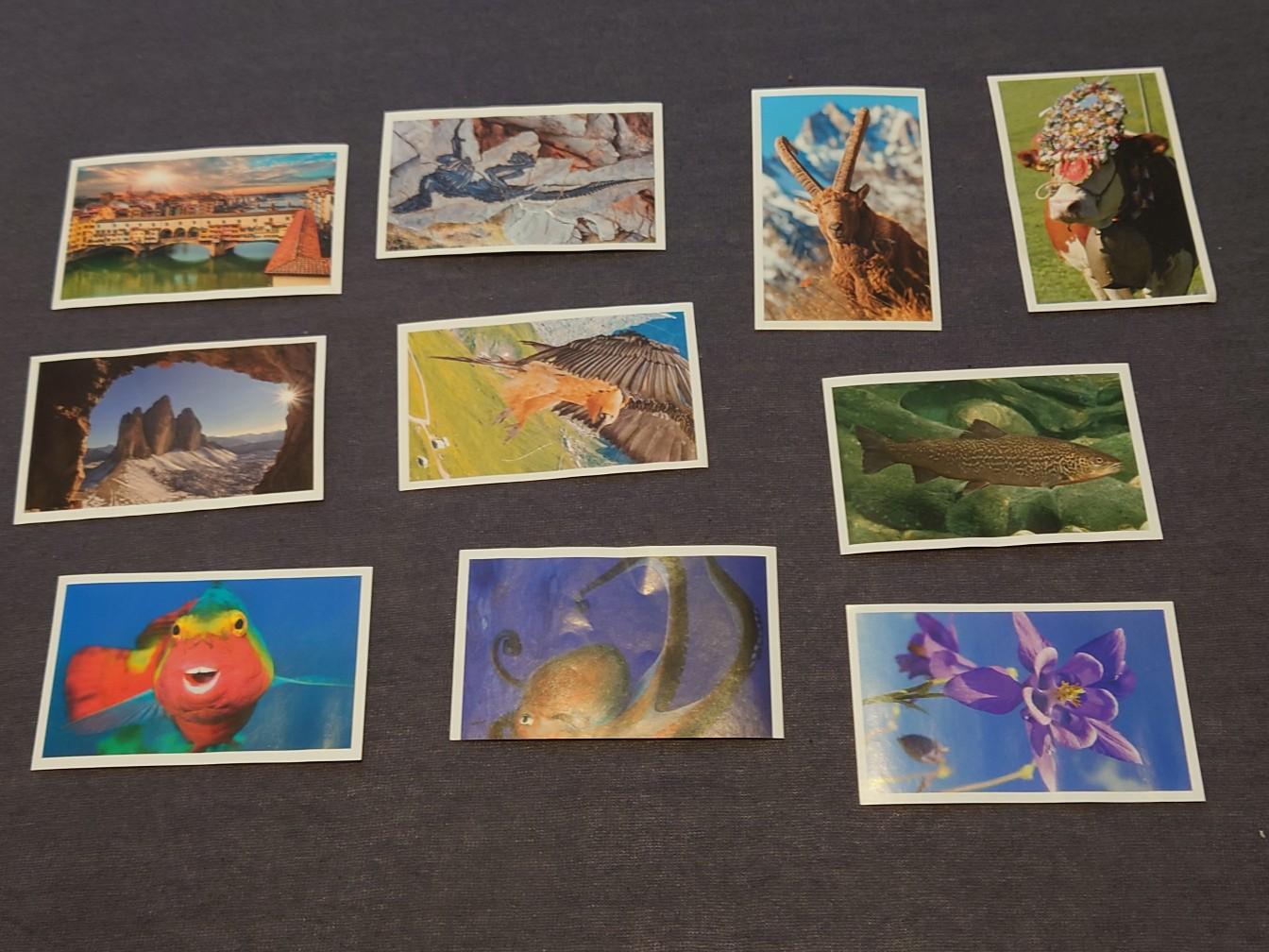 SPAR STICKERS von STICKER MANIA in 6410 Marktgemeinde Telfs für gratis