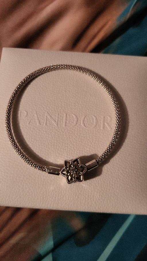 Buy & Sell Warwickshire Nuneaton and Bedworth - Photos for 18 cm shine bright pandora charms bracelet