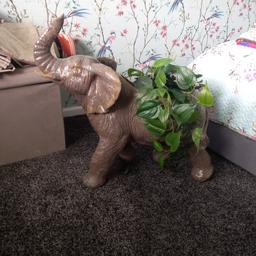 Large Elephant Planter very decorative just got no where for it had a change around
