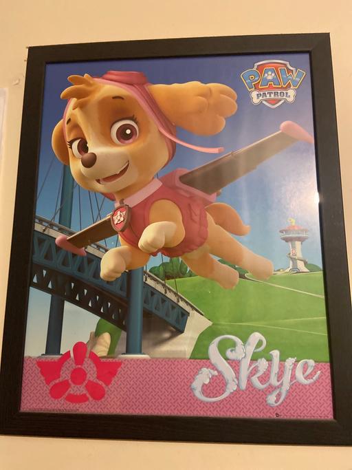 Buy & Sell Essex Brentwood - Photos for Paw patrol Skye picture frame