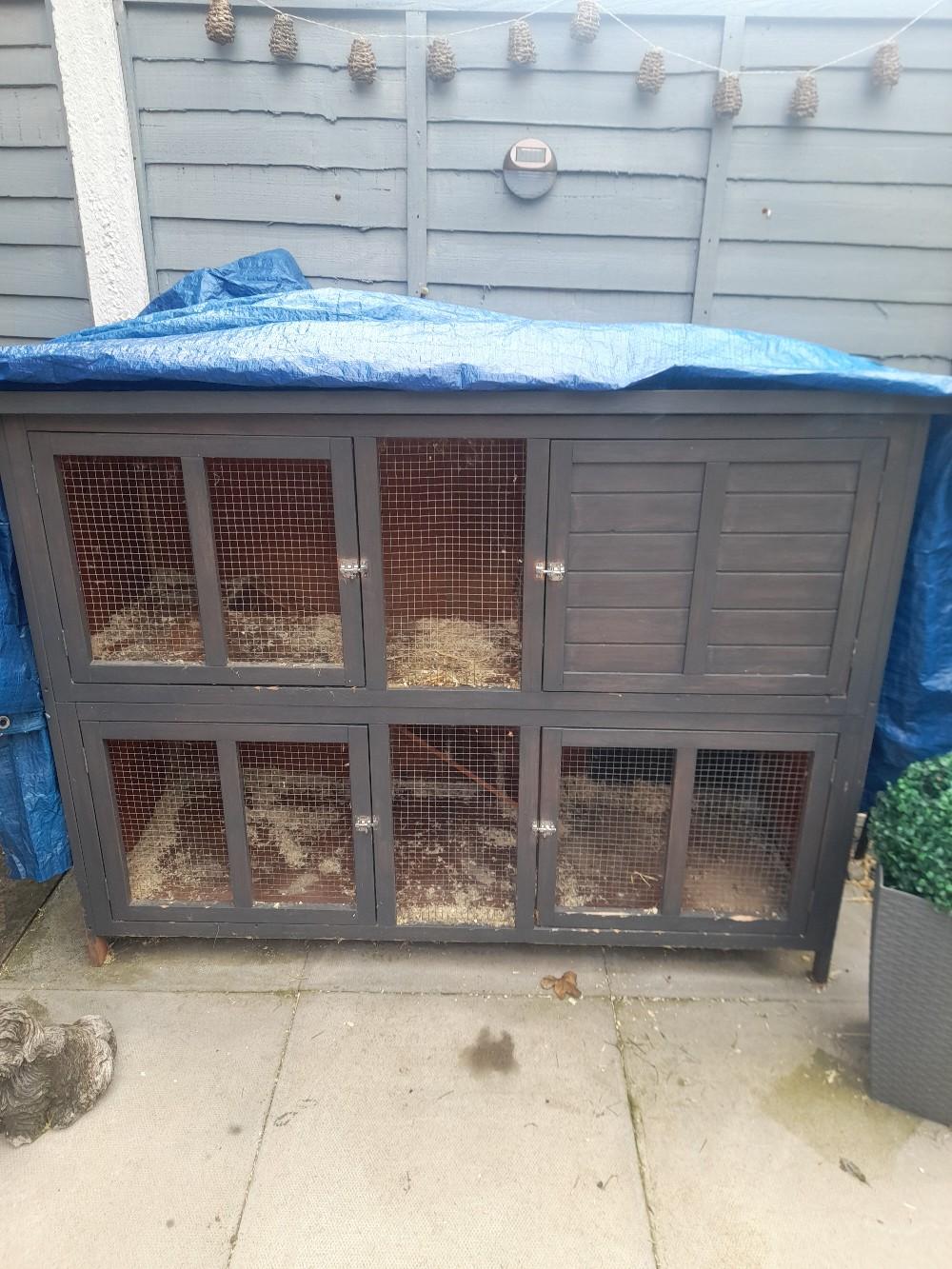 5 foot bluebell rabbit hutch in WS12 Chase für gratis zum Verkauf