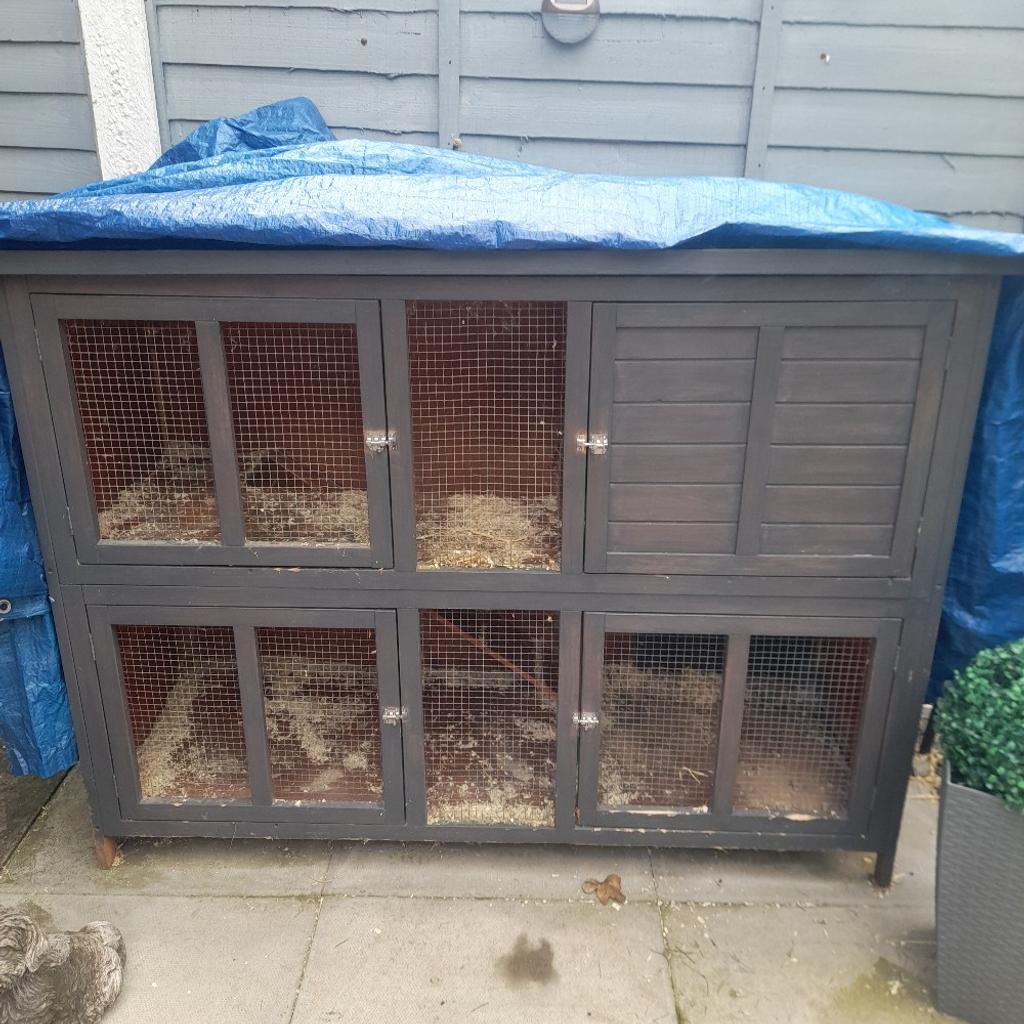 5 foot bluebell rabbit hutch in WS12 Chase für gratis zum Verkauf