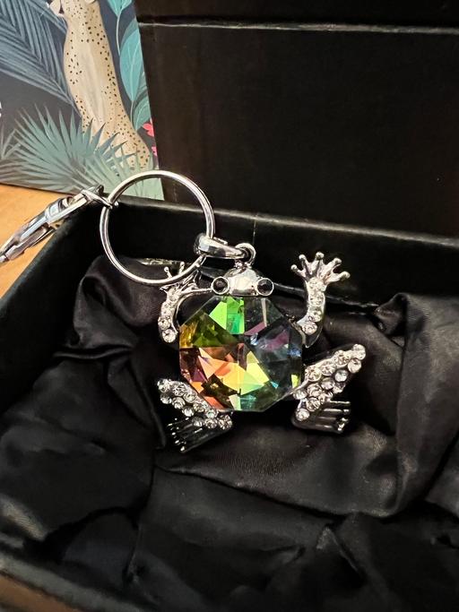Buy & Sell West Midlands Birmingham - Photos for Christal frog keyring