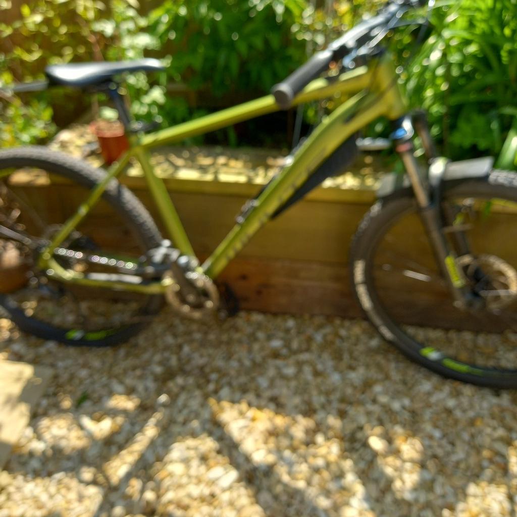 whyte mountain bike 603