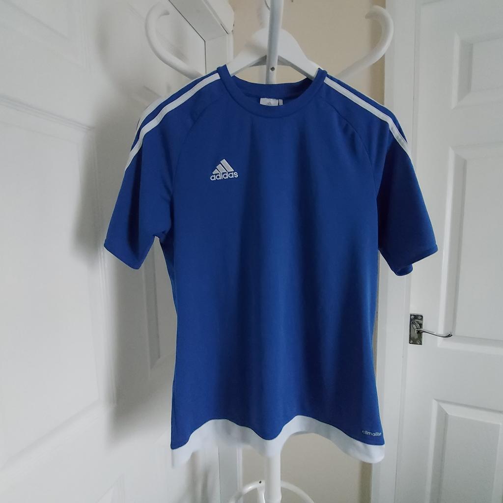 T-Shirt"Adidas"Climalite

 Blue Colour

 Good Condition

Actual size: cm and m

Length: 67 cm front

Length: 68 cm back

Length: 45 cm from armpit side

Sleeve length: 36 cm

Volume hands: 51 cm

Volume bust: 99 cm – 1.02 m

Volume waist: 90 cm – 1.00 m

Volume hips: 95 cm – 1.04 m

Size: M (UK) Eur M,US M

Main Material: 100 % Polyester

Made in Vietnam